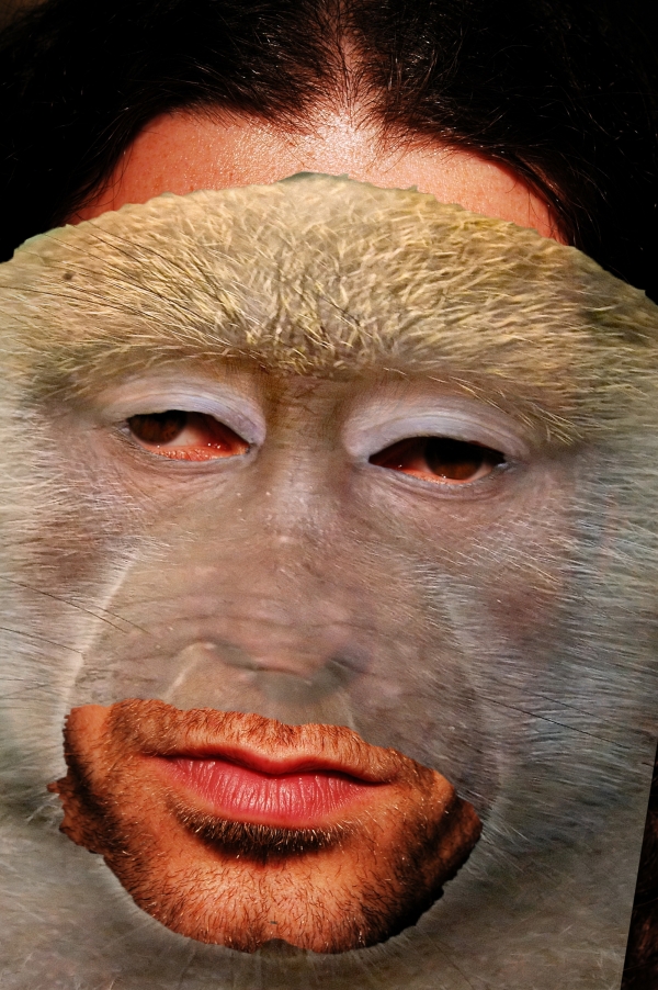 Creation of Baboon Hypnotist : Step 1